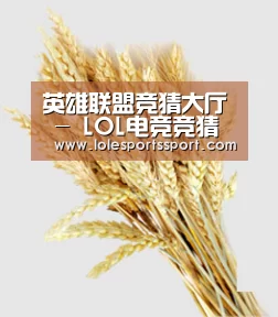 英雄联盟竞猜大厅 - LOL电竞竞猜官网-官方授权竞猜平台