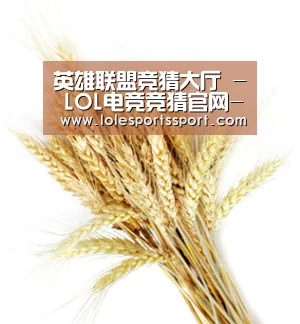 英雄联盟竞猜大厅 - LOL电竞竞猜官网-官方授权竞猜平台