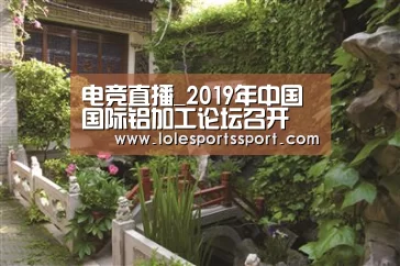 电竞直播_2019年中国国际铝加工论坛召开(图3) 英雄联盟竞猜大厅 - LOL全球总决赛下注官方网站