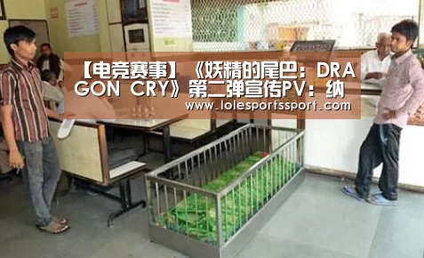 电竞赛事