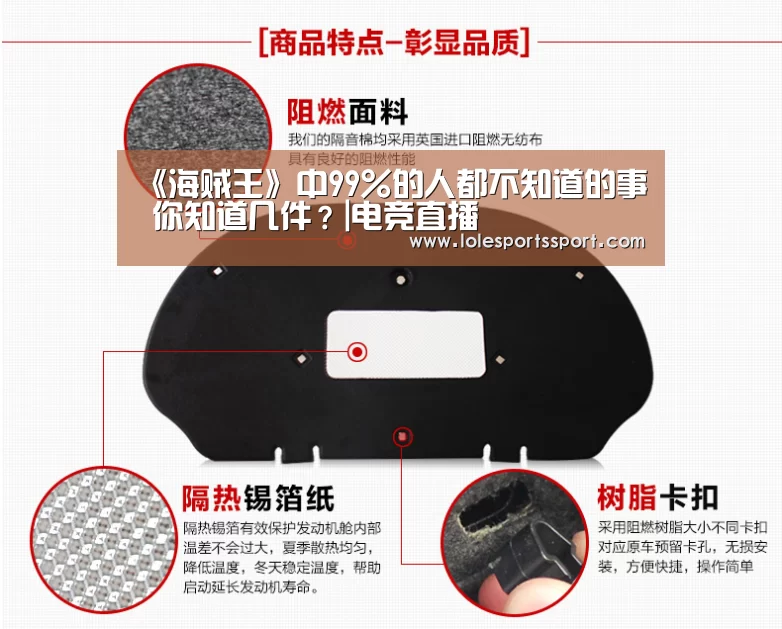 《海贼王》中99%的人都不知道的事 你知道几件?|电竞直播(图1) 电竞直播