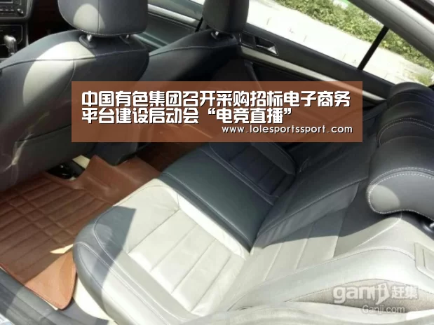 中国有色集团召开采购招标电子商务平台建设启动会“电竞直播”(图2) 电竞直播