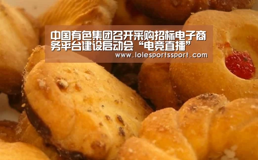 中国有色集团召开采购招标电子商务平台建设启动会“电竞直播”(图4) 电竞赛事