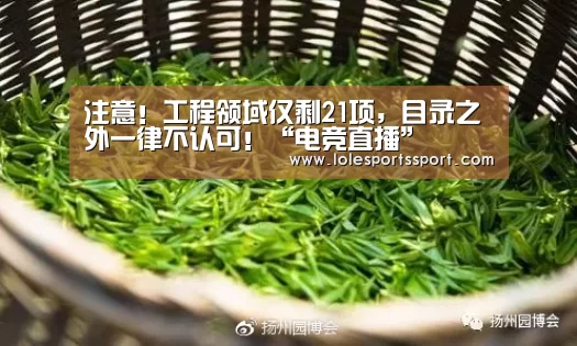 注意!工程领域仅剩21项,目录之外一律不认可!“电竞直播”(图4) 电竞直播