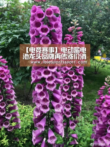 【电竞赛事】电动蓄电池龙头品牌再传涨价消息(图2) 英雄联盟竞猜大厅 - LOL全球总决赛下注官方网站